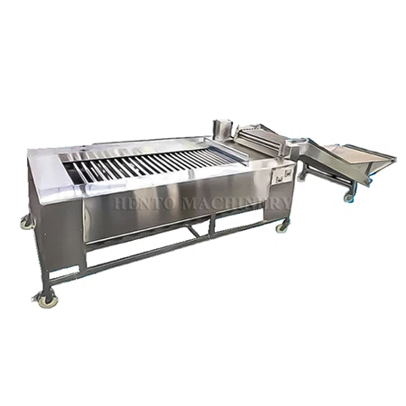 Fruit and Vegetable Grading Sorting Machine